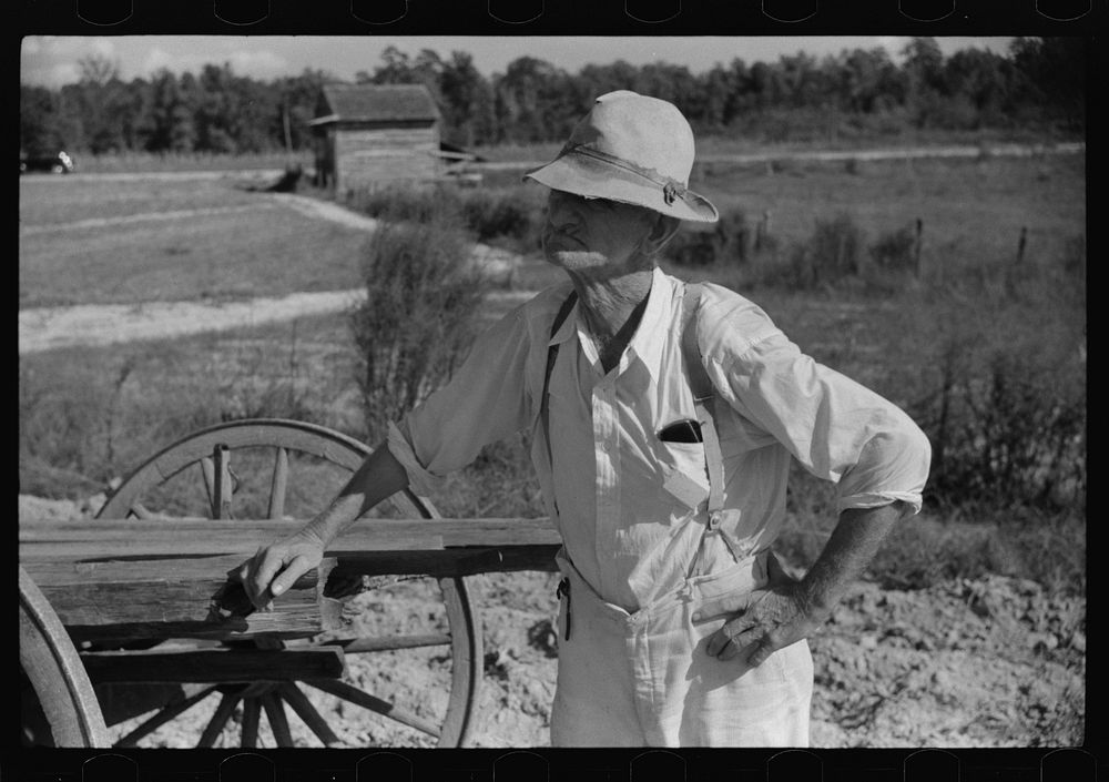 Mr. Foushee, owner-operator of farm, waiting while his son and neighbor load the wagon with sweet potatoes. He is sixty-five…