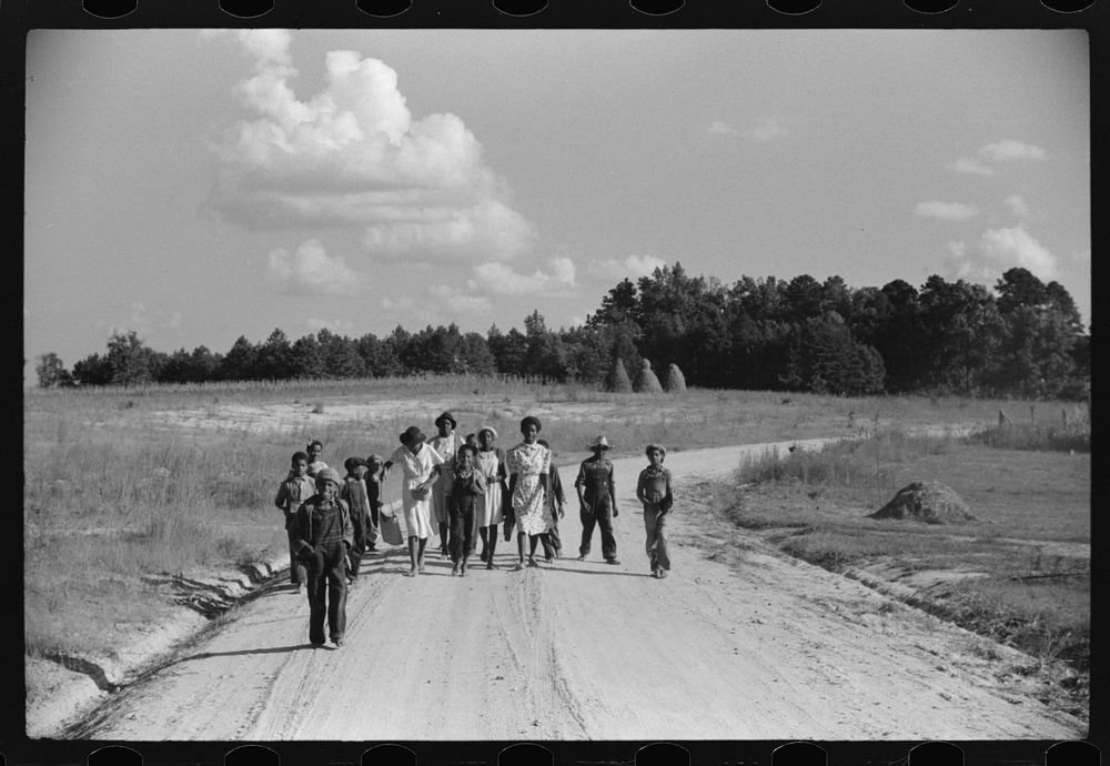  children walking home from school near Frogsboro, Caswell County, North Carolina. Sourced from the Library of Congress.