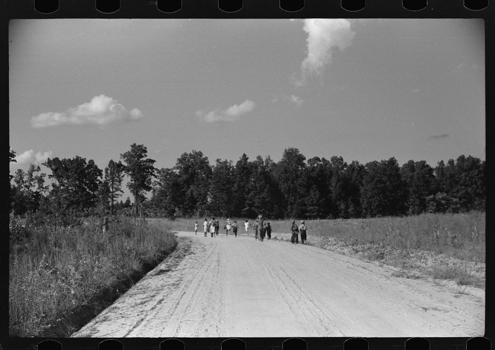 [Untitled photo, possibly related to:  children walking home from school near Frogsboro, Caswell County, North Carolina].…