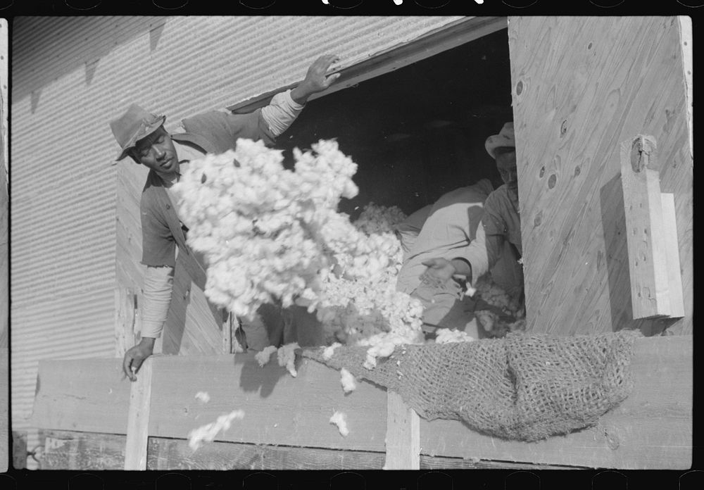 [Untitled photo, possibly related to: Cotton house on Knowlton Plantation, Perthshire, Mississippi Delta, Mississippi].…