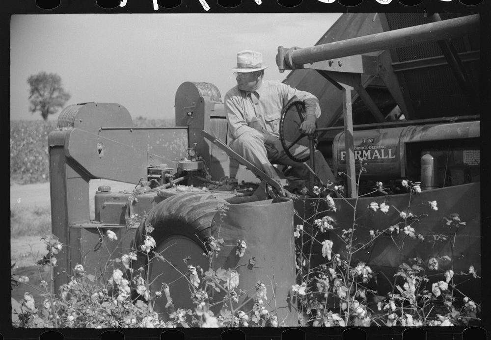 [Untitled photo, possibly related to: International cotton picker on Hopson Plantation, Clarksdale, Mississippi Delta…