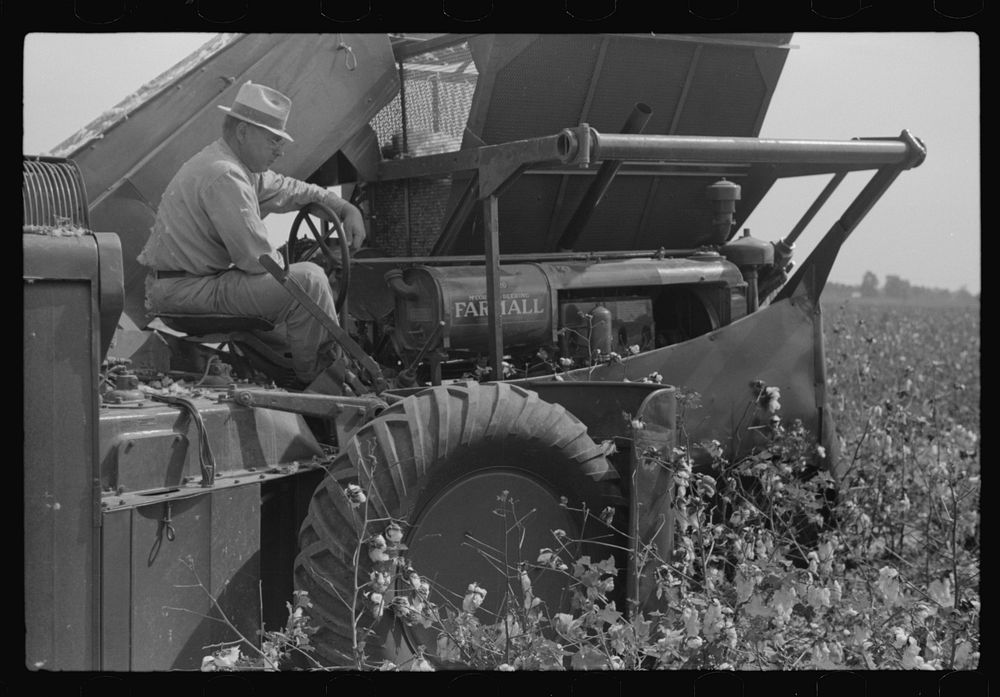 International cotton picker on Hopson Plantation, Clarksdale, Mississippi Delta, Mississippi. Sourced from the Library of…