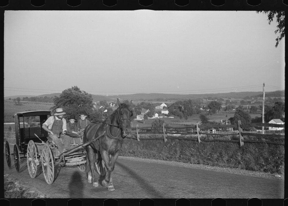 Mennonite farmer going to town, near Lancaster, Pennsylvania. Sourced from the Library of Congress.