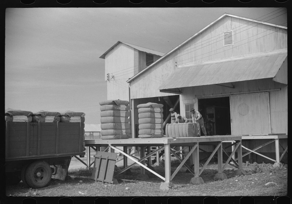 Hopson Planting Company, Clarksdale, Mississippi Delta, Mississippi. Sourced from the Library of Congress.