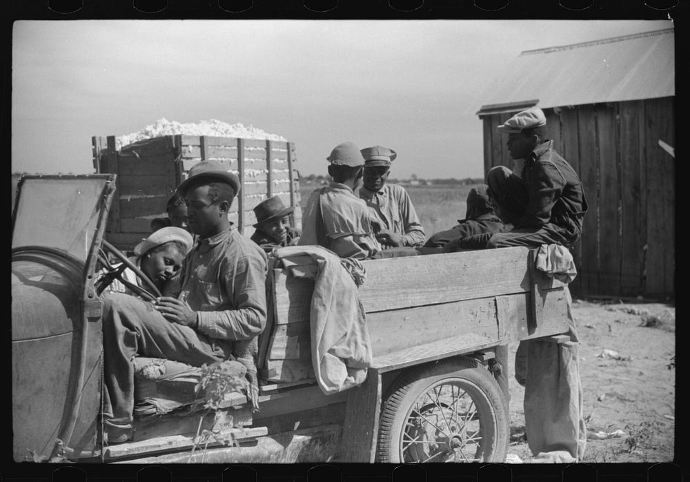 Day laborers come in cars and trucks to pick cotton on Marcella Plantation, Mileston, Mississippi Delta, Mississippi.…