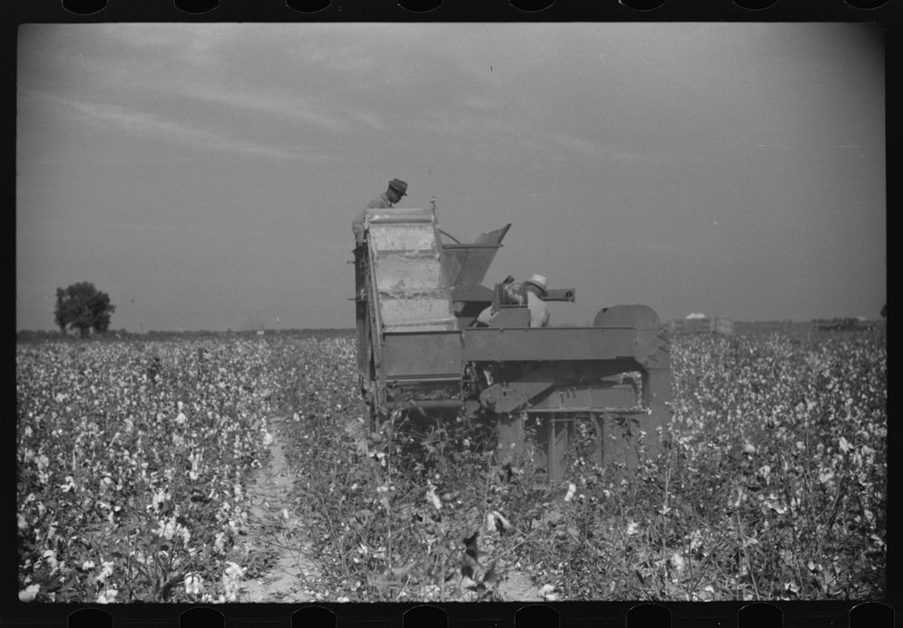 [Untitled photo, possibly related to: Rust cotton picker, Mileston Plantation, Mississippi Delta, Mississippi]. Sourced from…