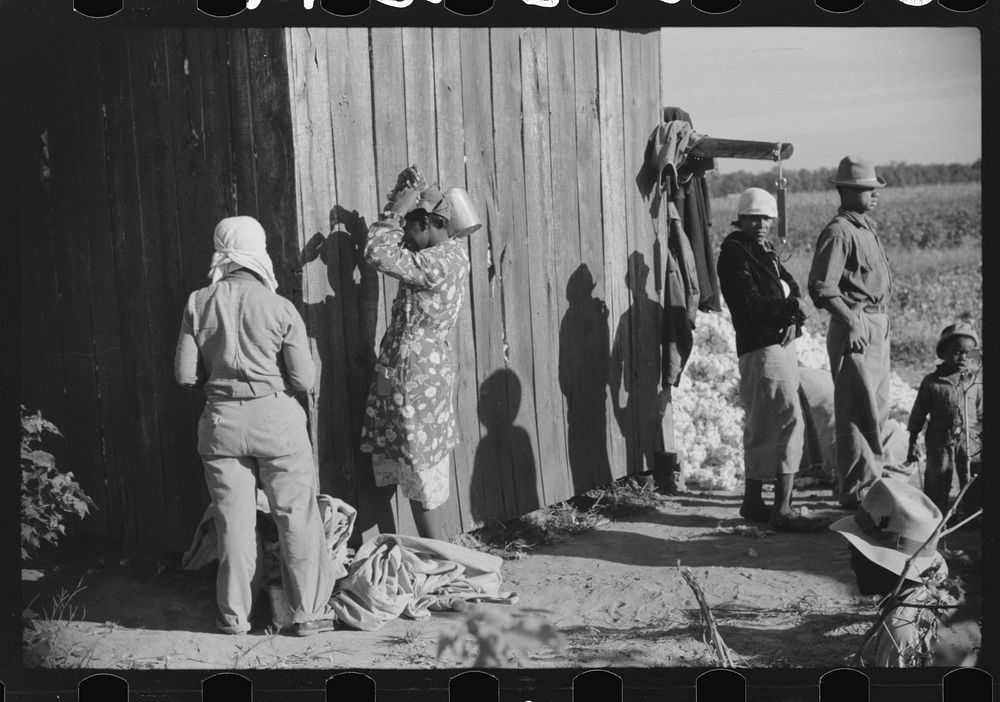 Day laborers by cotton house after picking cotton on Marcella Plantation, Mileston, Mississippi Delta, Mississippi. Sourced…