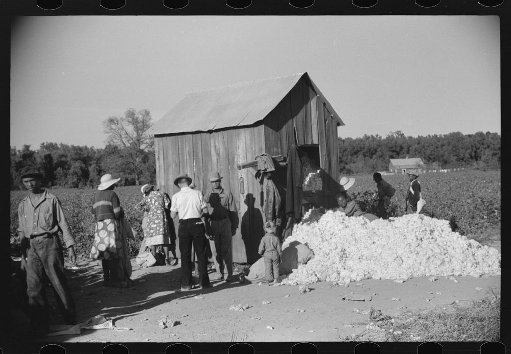 [Untitled photo, possibly related to: Day laborers by cotton house after picking cotton on Marcella Plantation, Mileston…
