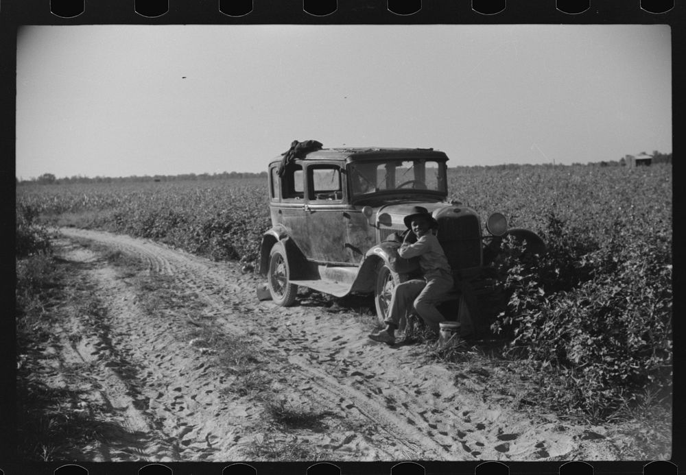 [Untitled photo, possibly related to: Mr. Jones, one of owners of Marcella Plantation, talking to one of day laborers who…