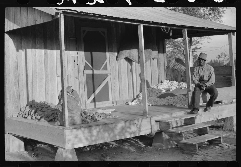 [Untitled photo, possibly related to: One of the sharecropper's houses with sweet potatoes and cotton on the porch. Knowlton…