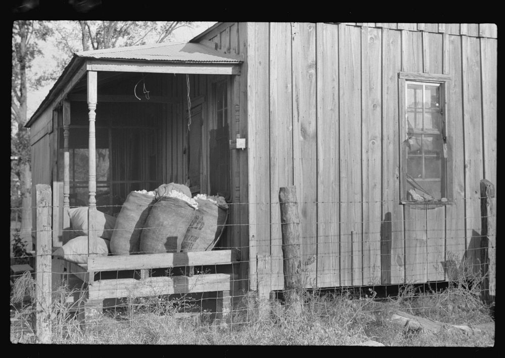 Sacks of cotton on wagehand's porch. Knowlton Plantation, Perthshire, Mississippi Delta, Mississippi. Sourced from the…