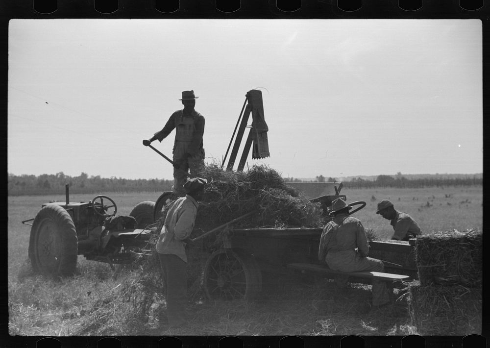 [Untitled photo, possibly related to: Baling hay on Marcella Plantation, Mileston, Mississippi Delta, Mississippi]. Sourced…