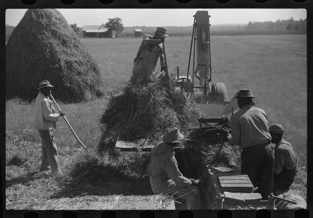 Baling hay on Marcella Plantation, Mileston, Mississippi Delta, Mississippi. Sourced from the Library of Congress.