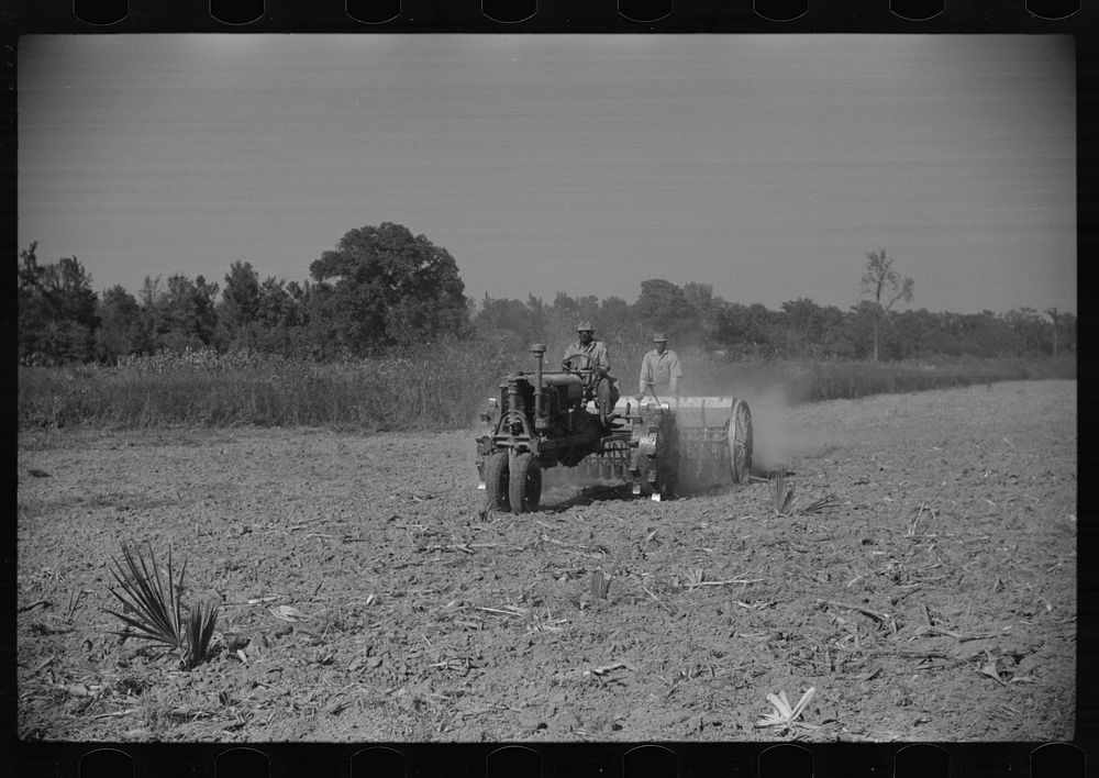 [Untitled photo, possibly related to: Planting oats on plantation after cotton harvest is over,  Mileston, Mississippi…