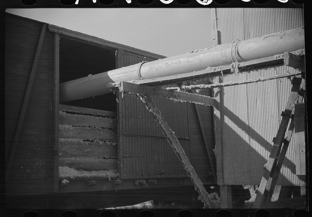 Blowing cotton seed from gin into freight cars for shipment to cotton seed oil plant, Mileston, Mississippi Delta…