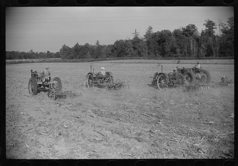 [Untitled photo, possibly related to: Planting oats on plantation after cotton harvest is over,  Mileston, Mississippi…