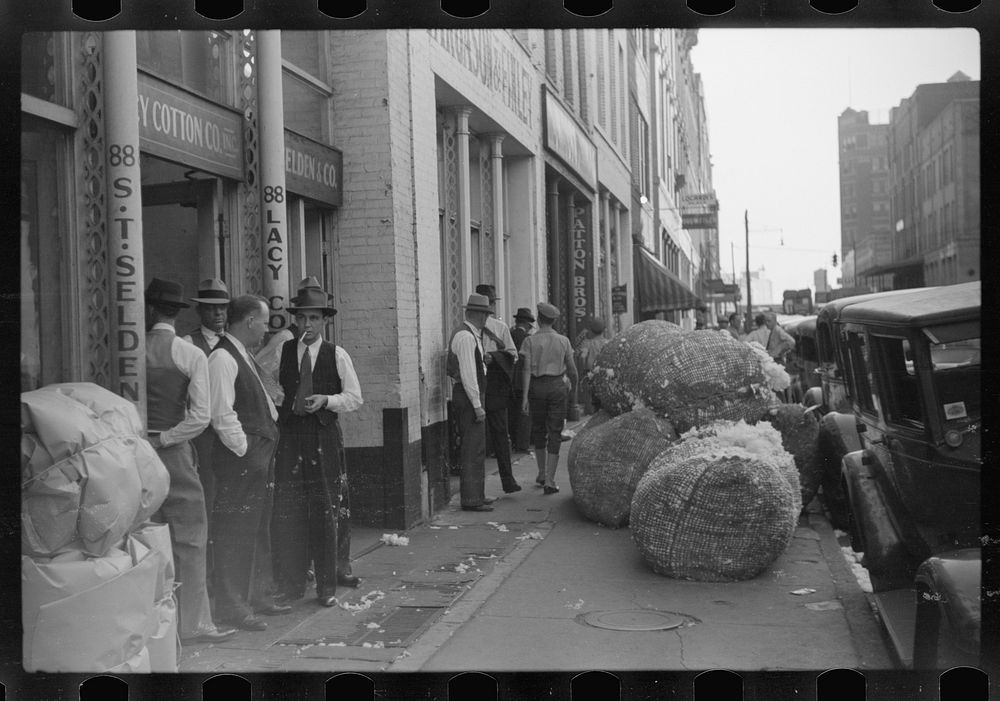 Cotton "snakes," waste cotton picked from floors of sampling and classing rooms in brokers' offices on Cotton Row, Front…