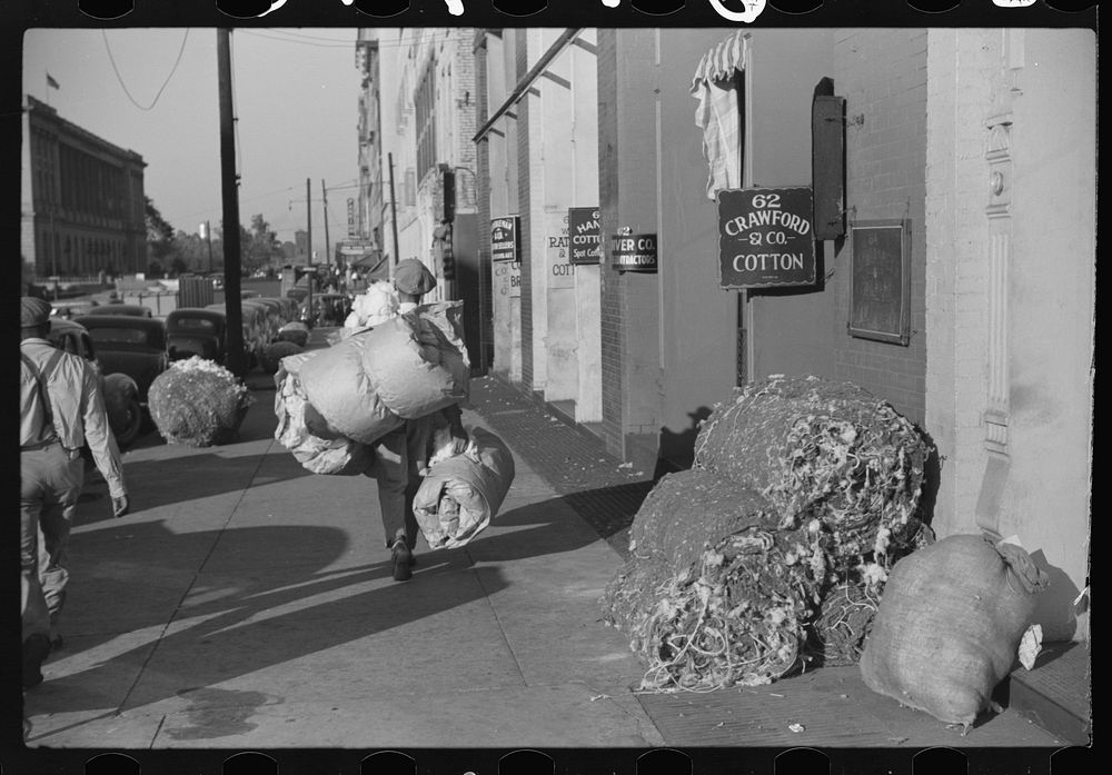 Cotton "snake," waste cotton on sidewalk and cotton samples being carried to sampling and classing rooms in broker's office…