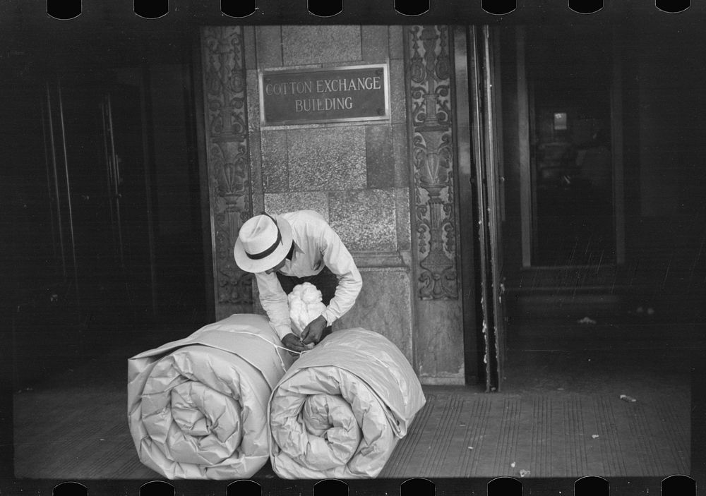 Cotton samples in front of cotton exchange building, Front Street, Memphis, Tennessee. Sourced from the Library of Congress.