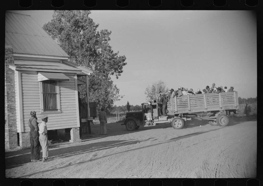 [Untitled photo, possibly related to: es brought in by truck from nearby towns as day labor for cotton picking. Marcella…