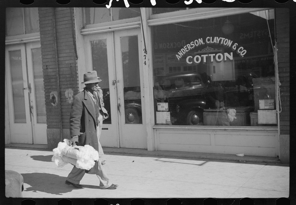  farmers bringing samples of cotton to sell in brokers' offices. Clarksdale, Mississippi Delta, Mississippi. Sourced from…