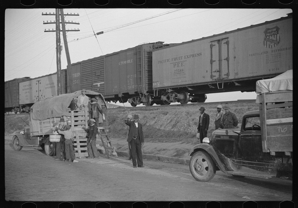 [Untitled photo, possibly related to: Day laborers being hired for cotton picking on Mississippi and Arkansas plantations.…