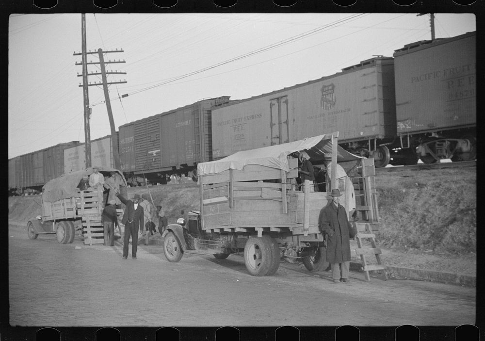 [Untitled photo, possibly related to: Day laborers being hired for cotton picking on Mississippi and Arkansas plantations.…