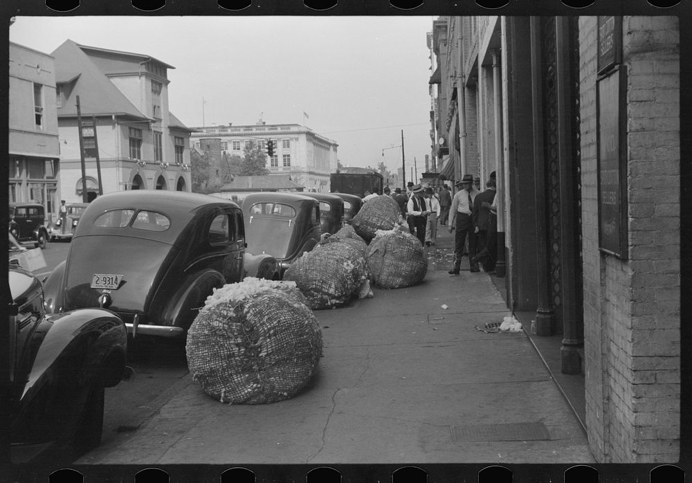 [Untitled photo, possibly related to: Cotton "snake," waste cotton on sidewalk, and cotton samples being carried to sampling…