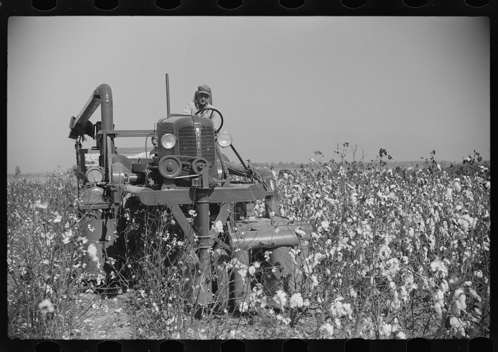 Rust cotton picker in field on Cloverdale Plantation, Clarksdale, Mississippi Delta, Mississippi. Sourced from the Library…
