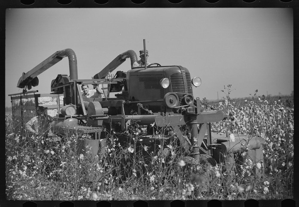 [Untitled photo, possibly related to: Rust cotton picker on Cloverdale Plantation, Clarksdale, Mississippi Delta…