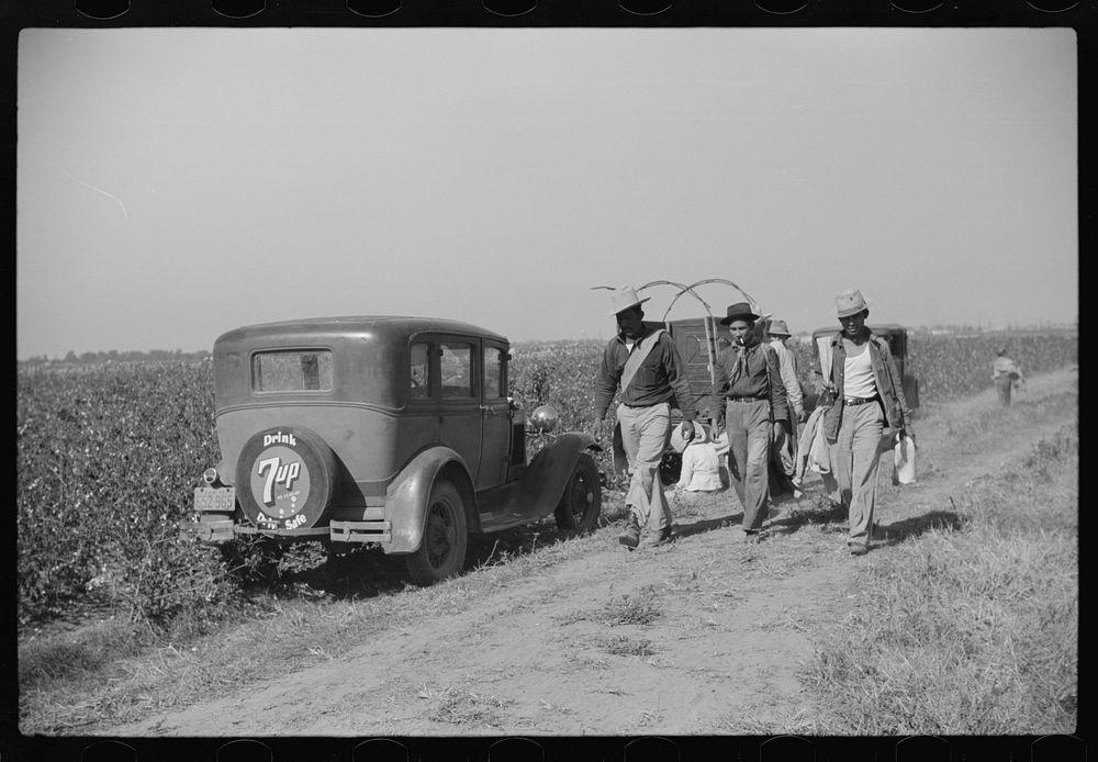 Mexican seasonal laborer returning home after picking cotton on Hopson Plantation, Mississippi. Sourced from the Library of…