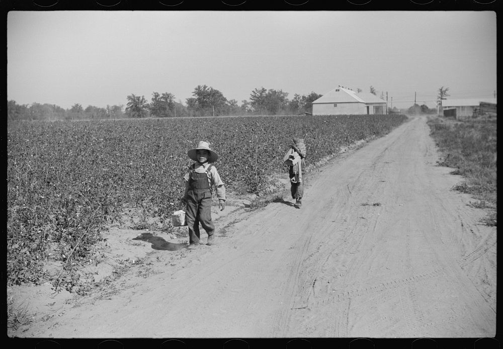[Untitled photo, possibly related to: Mexican seasonal laborers returning home after picking cotton on Hopson Plantation…