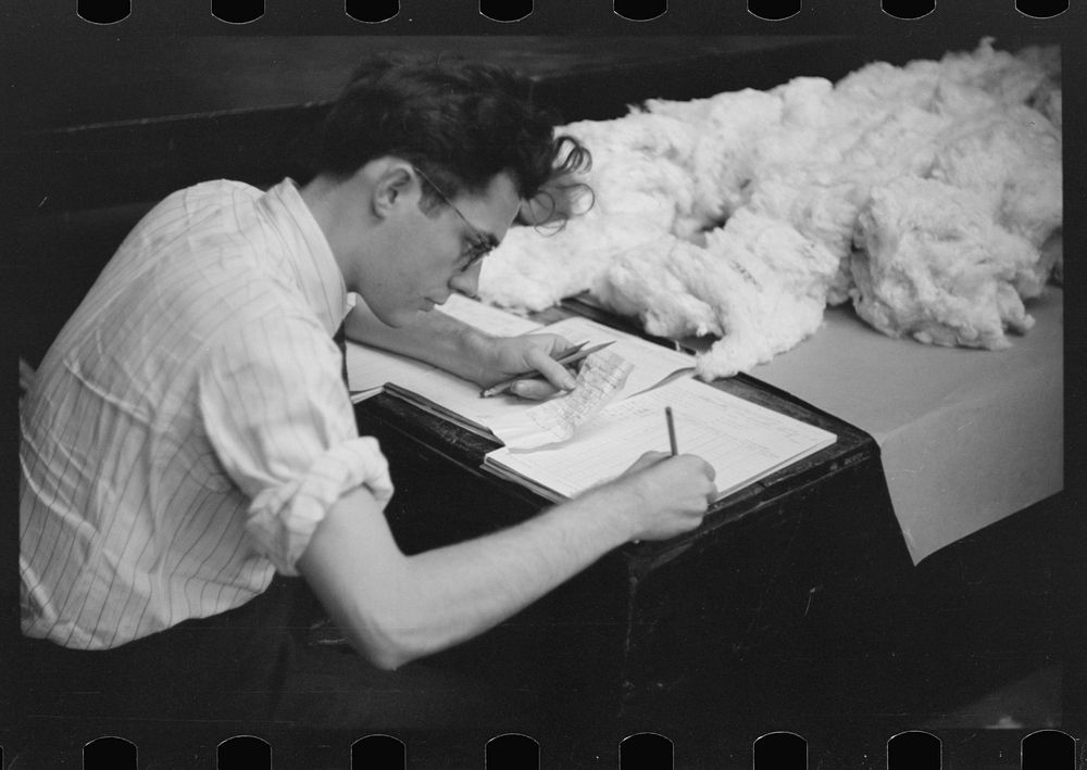 [Untitled photo, possibly related to: Classing cotton in factor's office, Memphis, Tennessee]. Sourced from the Library of…