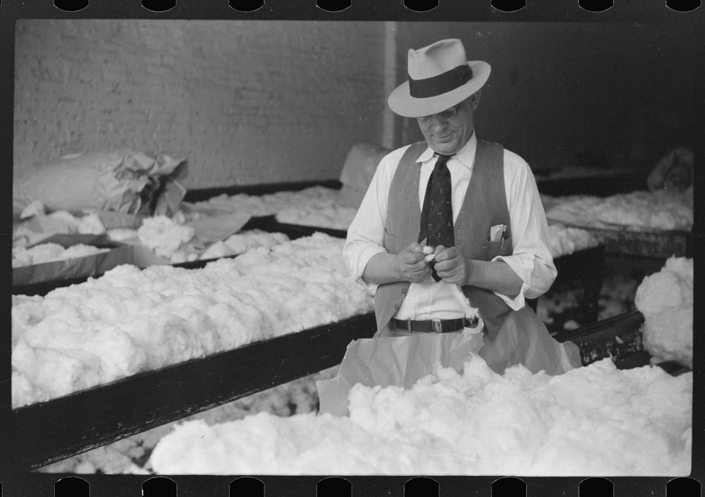 Sampling cotton in classing room of cotton factor's office. Memphis, Tennessee. Sourced from the Library of Congress.