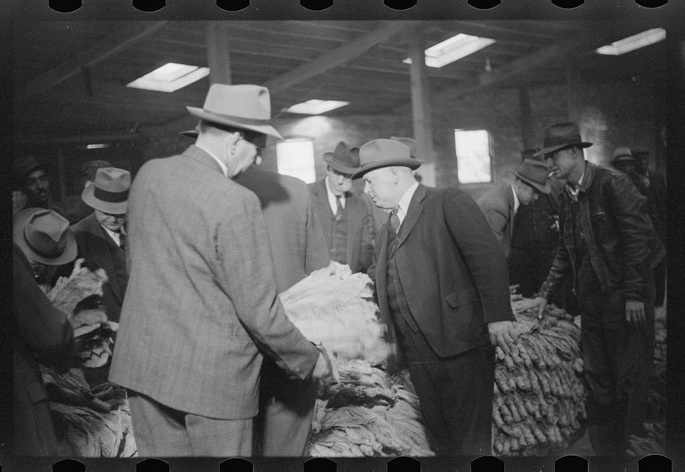 Buyers looking at tobacco in warehouse during auction sales, Durham, North Carolina. Sourced from the Library of Congress.