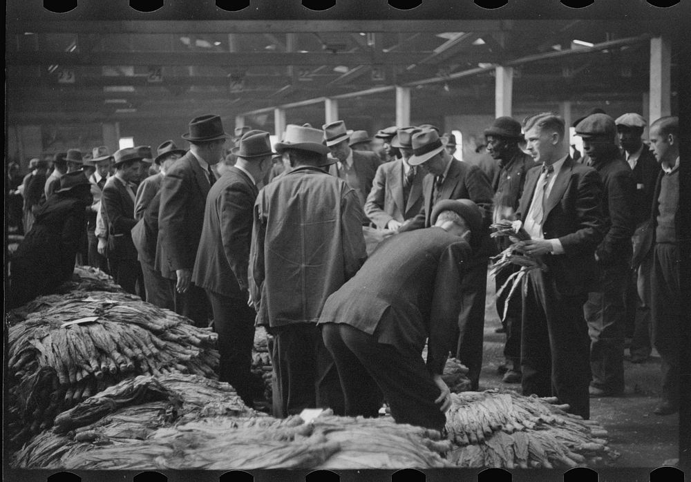 [Untitled photo, possibly related to: Buyers looking at tobacco in warehouse during auction sales, Durham, North Carolina].…