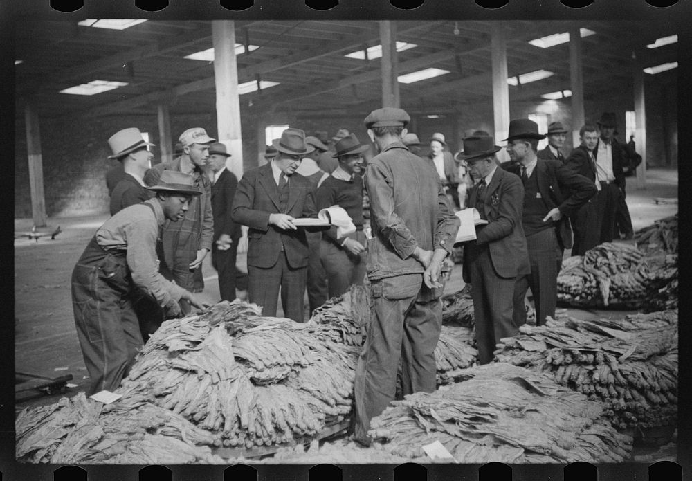 Bookmen following the sale and checking the price of the tobacco for the warehouse, Durham, North Carolina. Sourced from the…