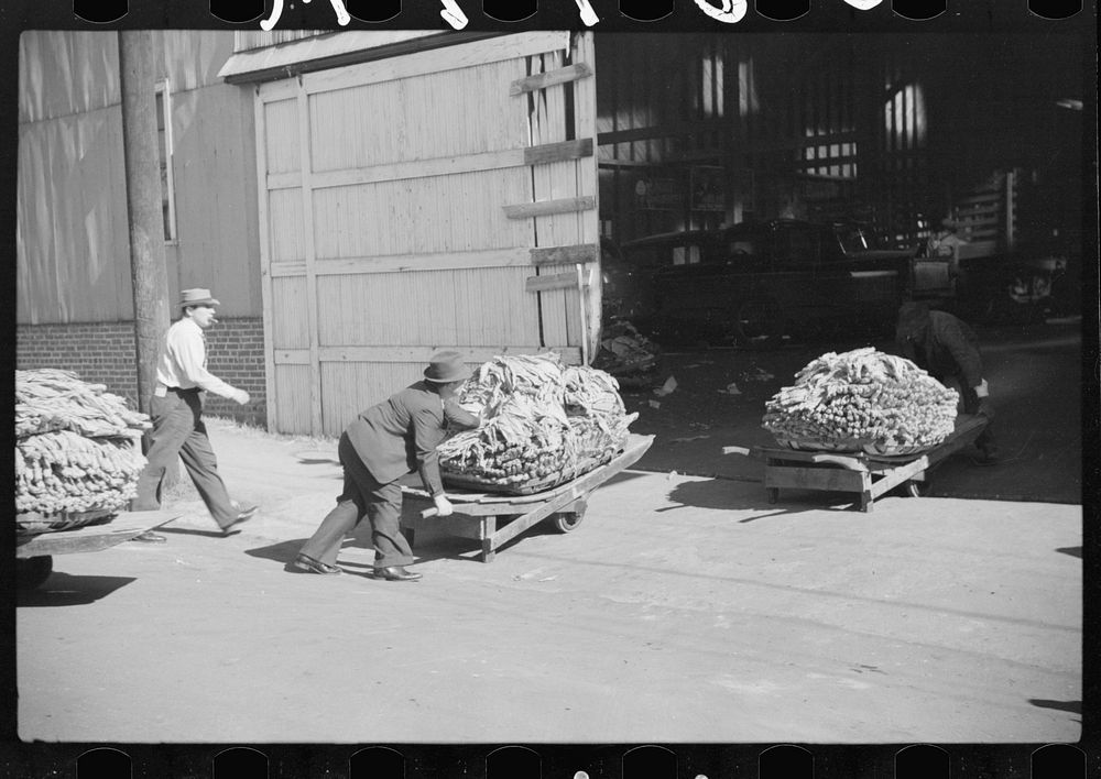 [Untitled photo, possibly related to: Taking tobacco into warehouse for auction, Durham, North Carolina]. Sourced from the…