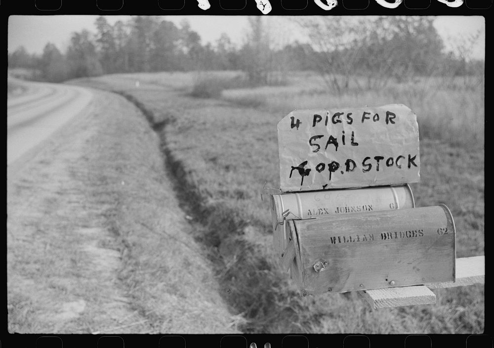 [Untitled photo, possibly related to: Sign on mailboxes on the highway to Wendell, Wake County, North Carolina]. Sourced…