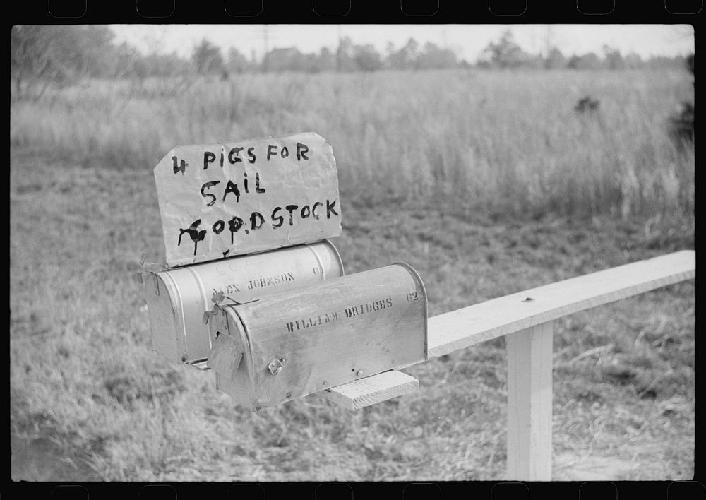 Sign on mailboxes on the highway to Wendell, Wake County, North Carolina. Sourced from the Library of Congress.