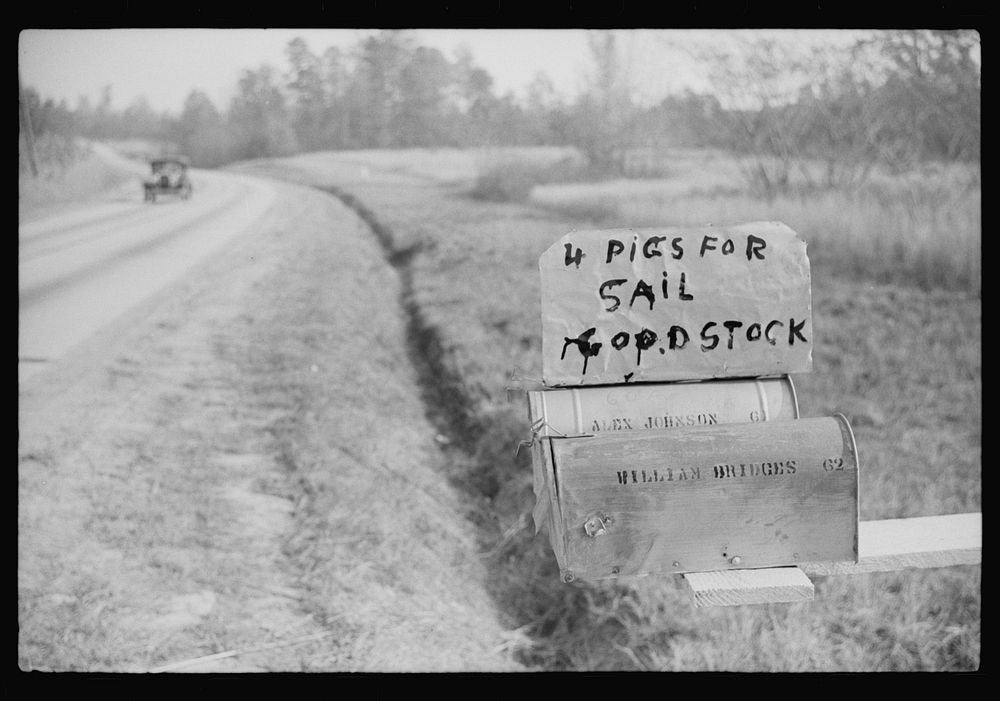 [Untitled photo, possibly related to: Sign on mailboxes on the highway to Wendell, Wake County, North Carolina]. Sourced…