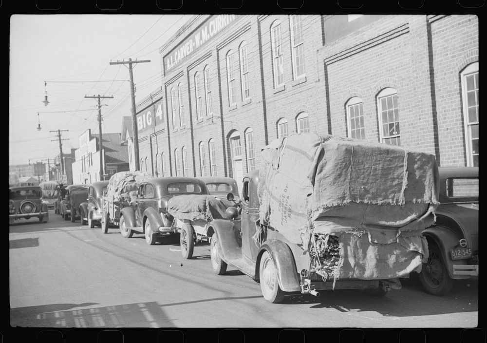 Farmers bringing tobacco to warehouse in trailers, on top of their cars and even inside their cars for auction. Durham…