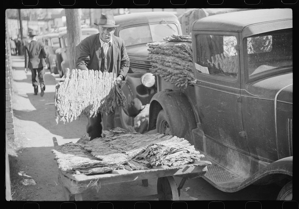 [Untitled photo, possibly related to: Farmers bring their tobacco in trailers and sometimes in their cars to the warehouse…