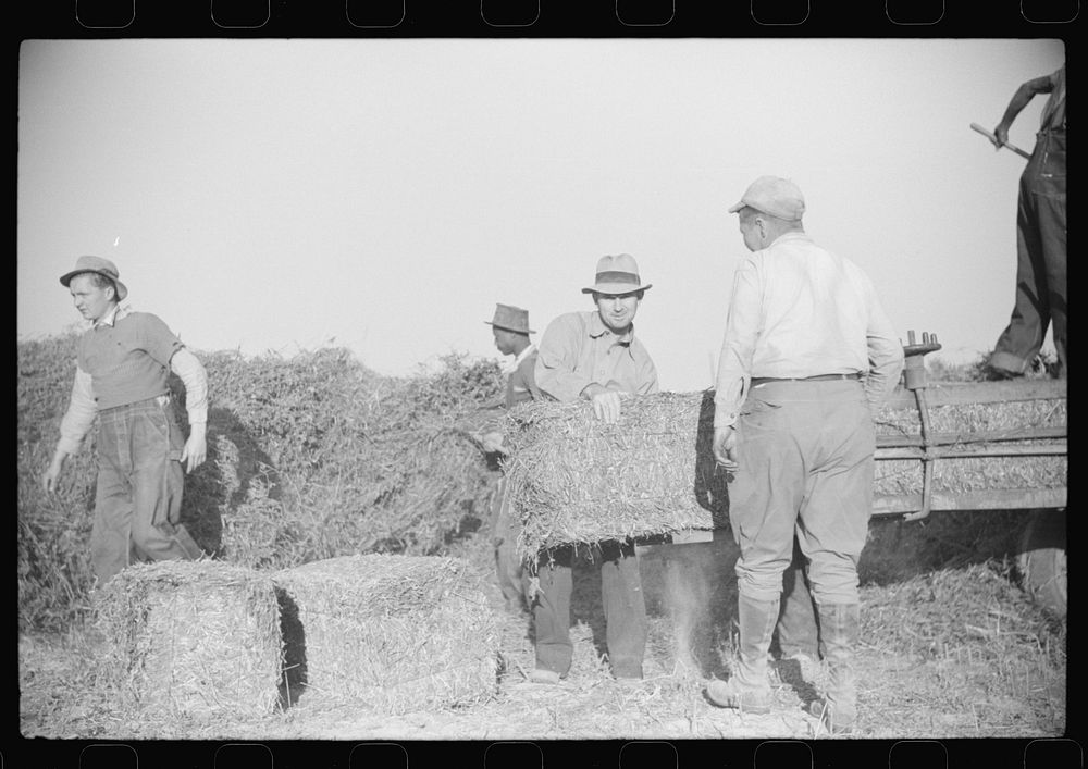 [Untitled photo, possibly related to: Baling hay on the Mary E. Jones place of about 140 acres. The sons W.E. and R.E. Jones…