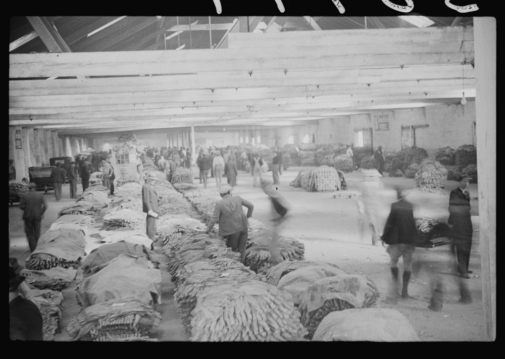 [Untitled photo, possibly related to: Tobacco auction in large warehouse, Durham, North Carolina]. Sourced from the Library…