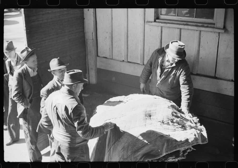 [Untitled photo, possibly related to: Arranging tobacco in baskets before auction sale in warehouse. Mebane, North…