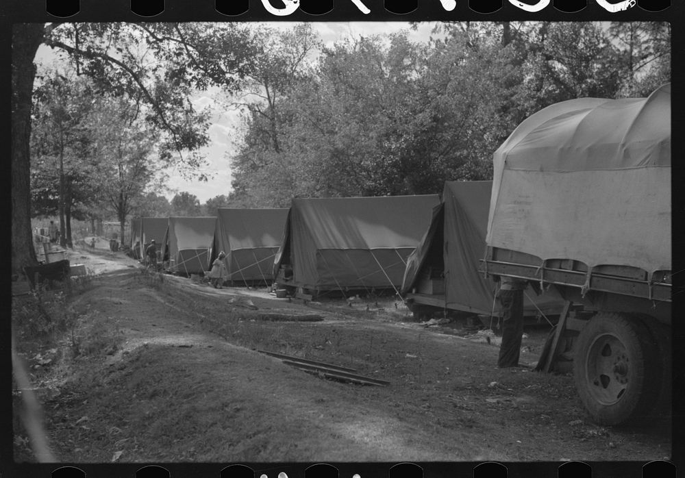 Tents of Mexican labor brought from Texas by contractor for the duration of cotton picking season. Hopson Plantation near…