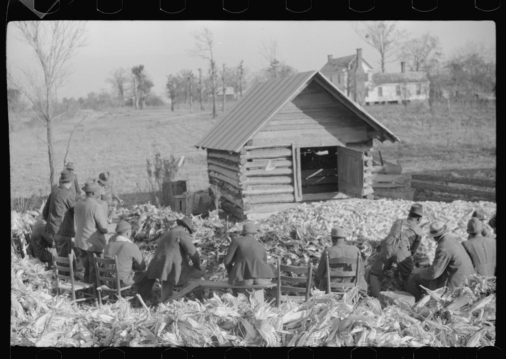 [Untitled photo, possibly related to: Corn shucking on Uncle Henry Garrett's place,  tenant of Mr. Fred Wilkins. White women…