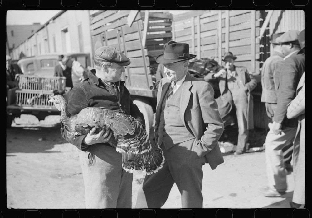 [Untitled photo, possibly related to: Farmer talking with with another farmer who has just purchased a turkey. Outside…