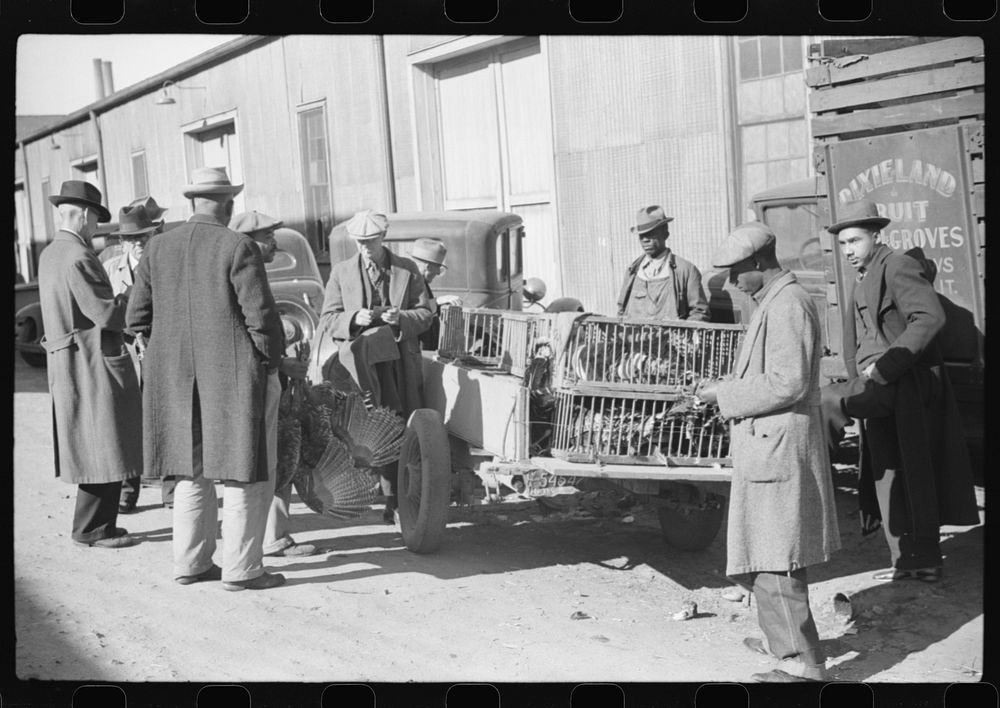 Farmer selling Thanksgiving turkey to farmer outside warehouse where tobacco auction sales are being held. Durham, North…